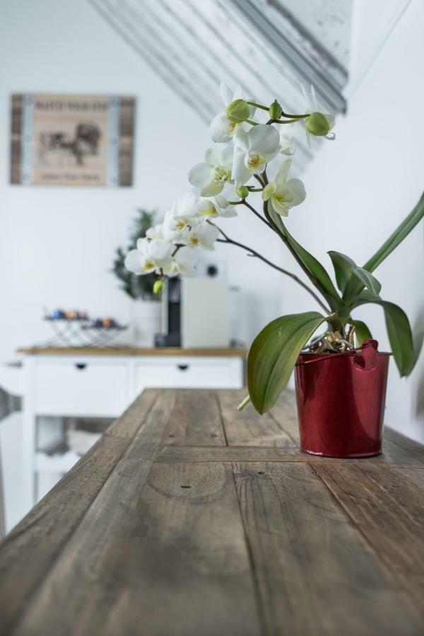 Farmhouse Apartman Daire Eğri Dış mekan fotoğraf