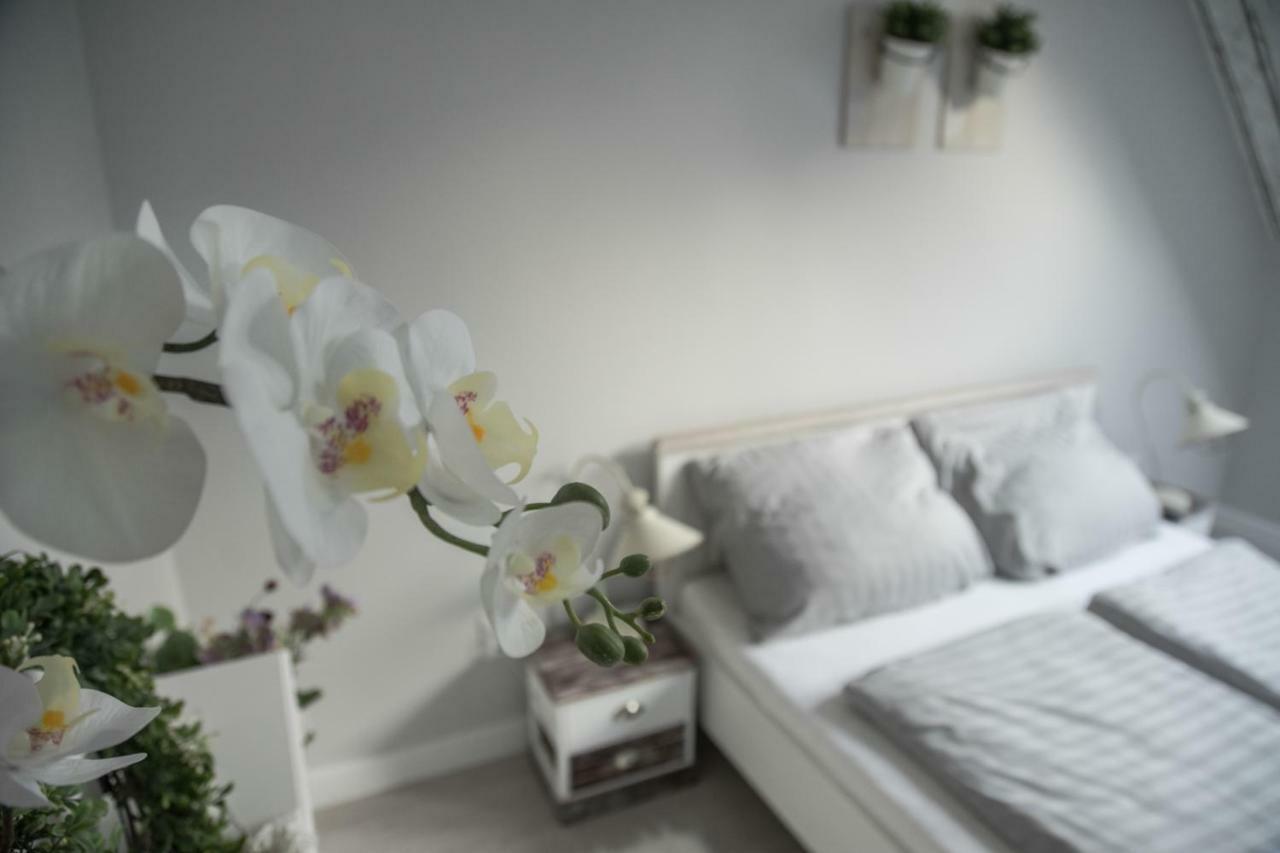 Farmhouse Apartman Daire Eğri Dış mekan fotoğraf